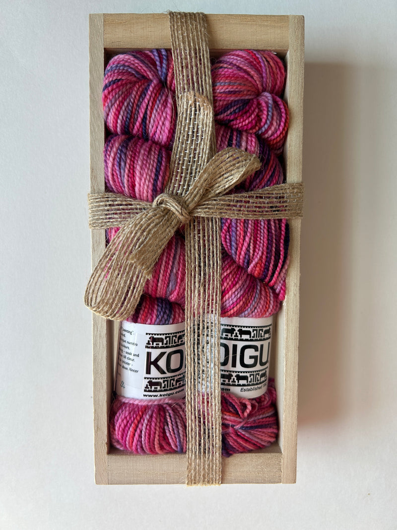 Koigu 2025 Sock Box Set P211