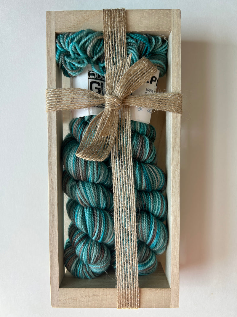 Koigu 2025 Sock Box Set P821