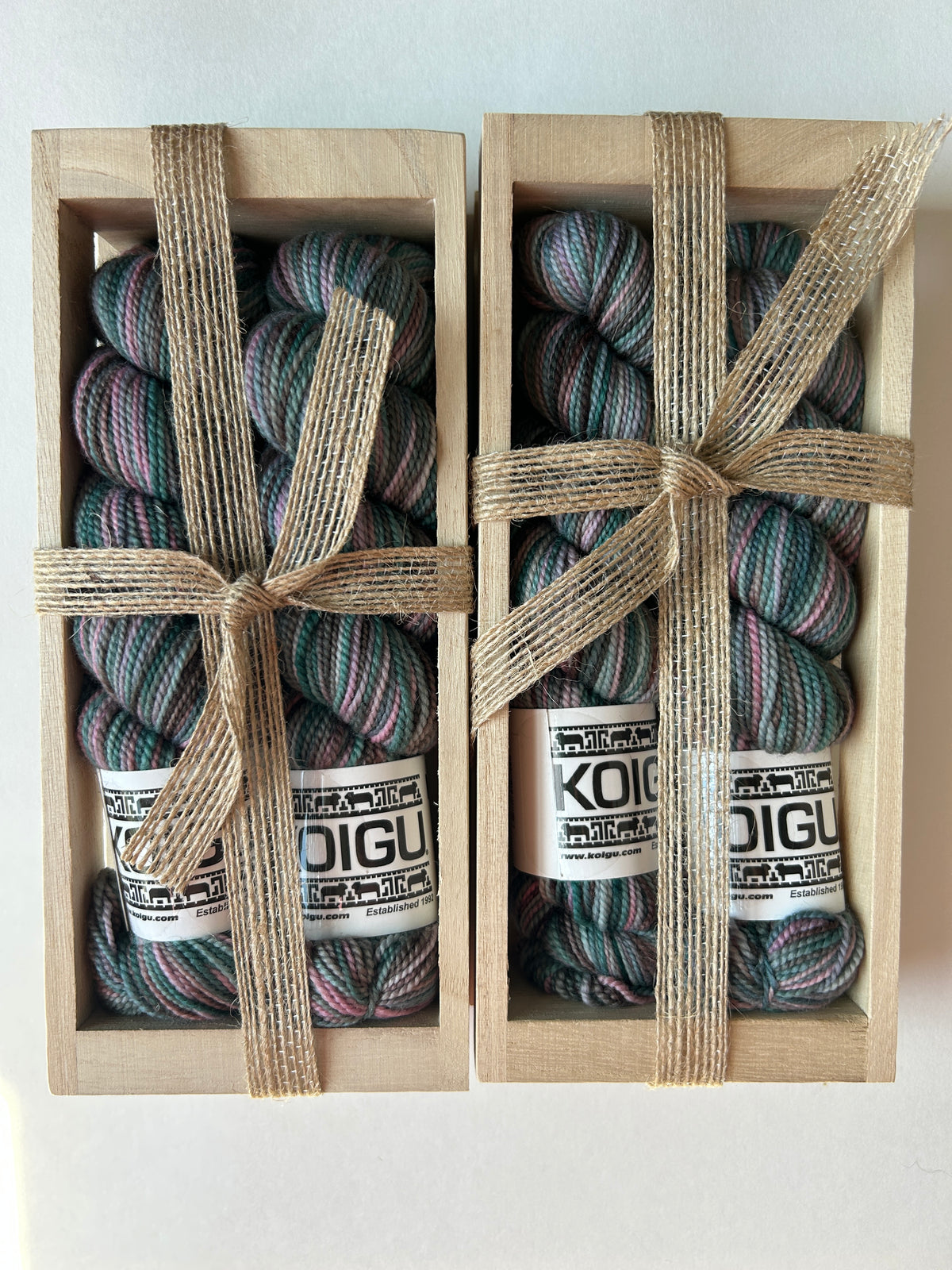 Koigu 2025 Sock Box Set P838