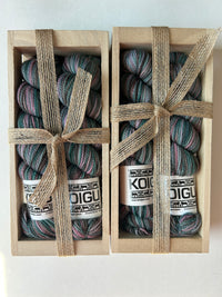 Koigu 2025 Sock Box Set P838