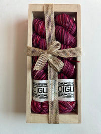 Koigu 2025 Sock Box Set P859