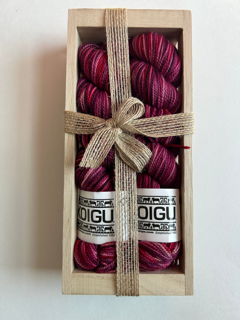 Koigu 2025 Sock Box Set P859