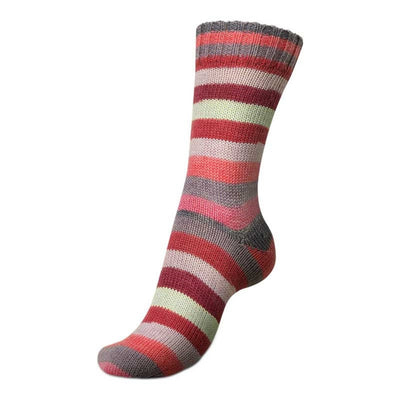 Pink-Grey - 2736