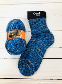 Opal Sock Yarn - Country 11292 Music Barn