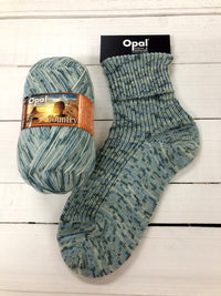 Opal Sock Yarn - Country 11295 Evening