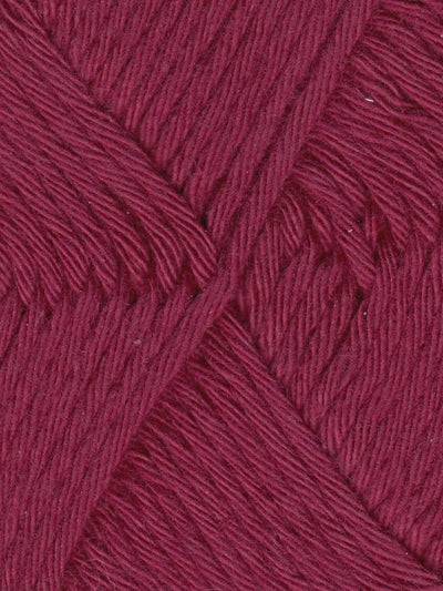 2008 - Cranberry