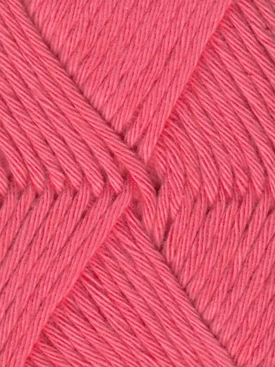 2020 - Watermelon